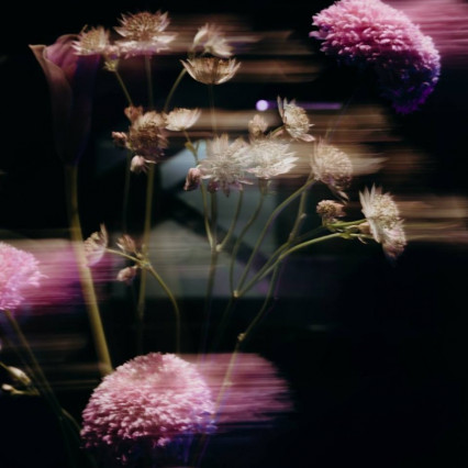 3de37121-715f-431f-8991-c9b64bdbd425